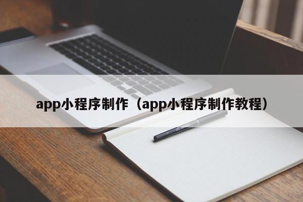 app小程序制作（app小程序制作教程）