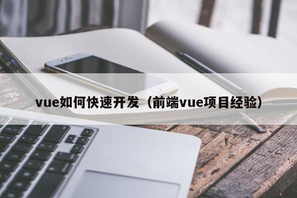 vue如何快速开发（前端vue项目经验）