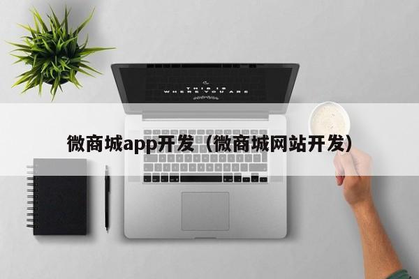 微商城app开发（微商城网站开发）