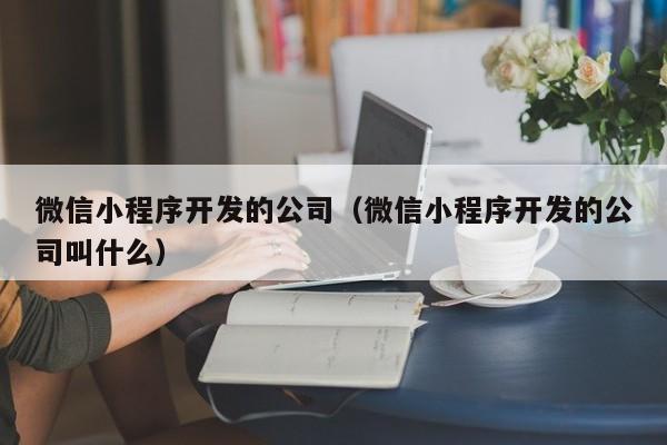 微信小程序开发的公司（微信小程序开发的公司叫什么）