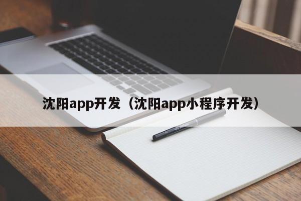 沈阳app开发（沈阳app小程序开发）