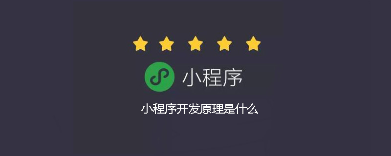 探究小程序开发所遵循的原理和机制