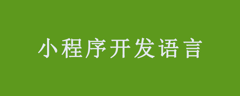 小程序开发能够运用的语言有哪些